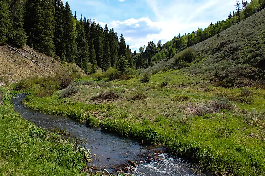Cimarron River