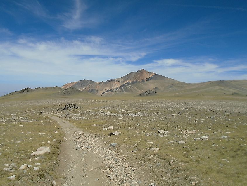 White Mountain Peak, California. Credit: Pimlico27, CC BY-SA 4.0 <https://creativecommons.org/licenses/by-sa/4.0>, via Wikimedia Commons