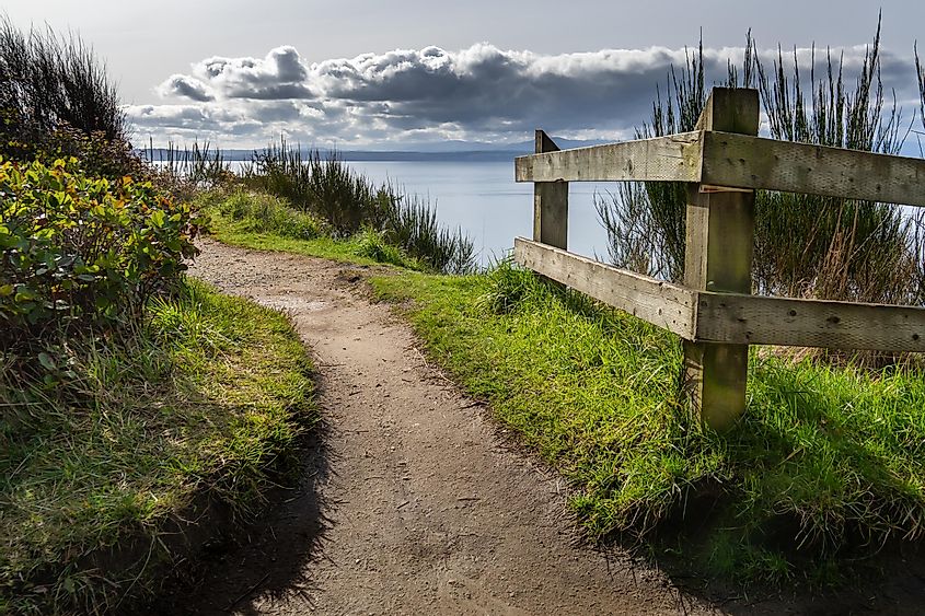 Path along the Bluff Overlooking the Puget Sound at Fort Ebey State Park Whidbey Island Washington