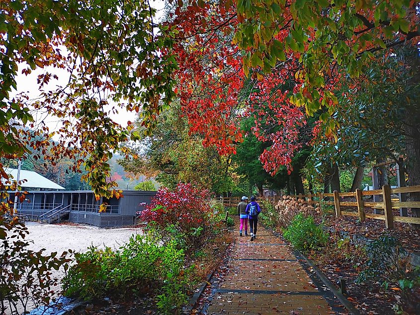 Hiking in Vogel State Park in the fall