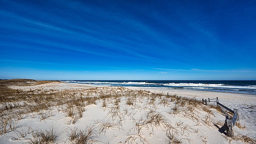 Island Beach State Park is the largest reserve of undeveloped barrier island located in Berkeley, New Jersey and is one of the largest in the United States.