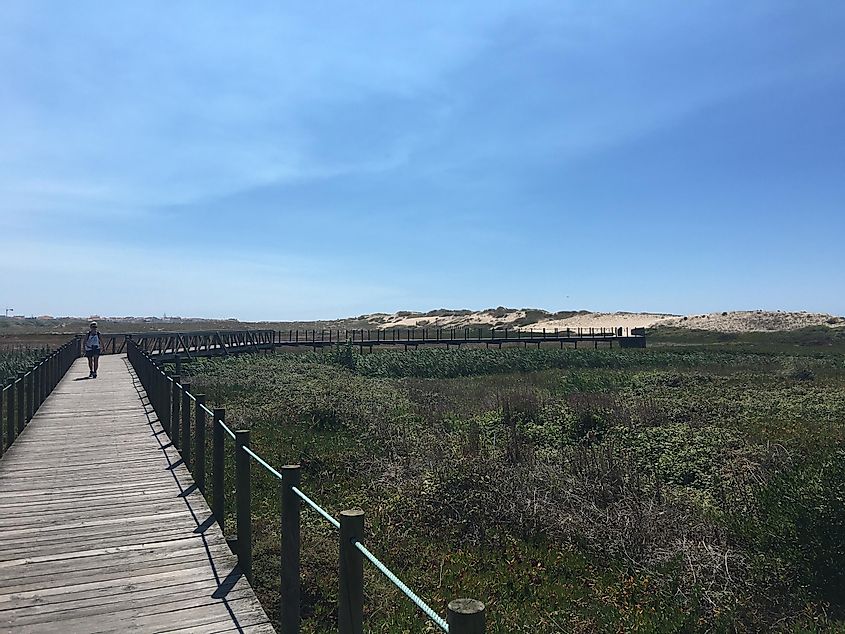 A woman walking on a wooden boardwalk next to some wispy sand dunes. 
