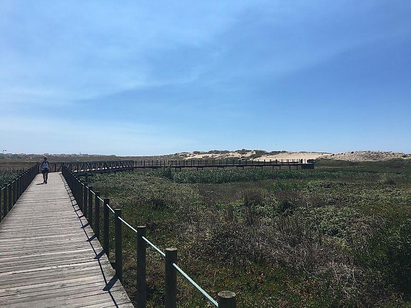 A woman walking on a wooden boardwalk next to some wispy sand dunes.