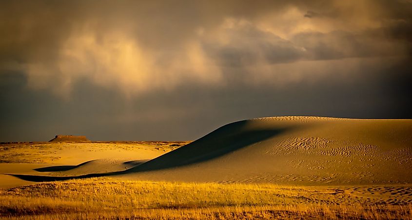 Killpecker Sand Dunes in Wyoming