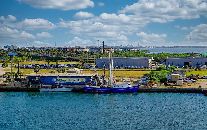 View of Port Canaveral, via Darryl Brooks / Shutterstock.com