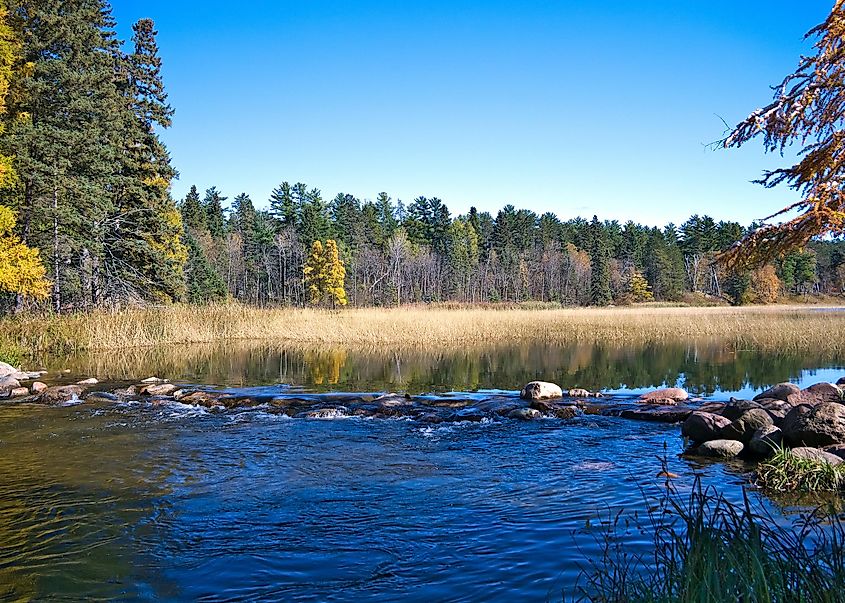 Headwaters of the Mississippi River at Itasca State Park.