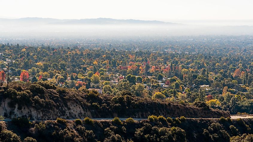 Angeles National Forest in Los Angeles, California,