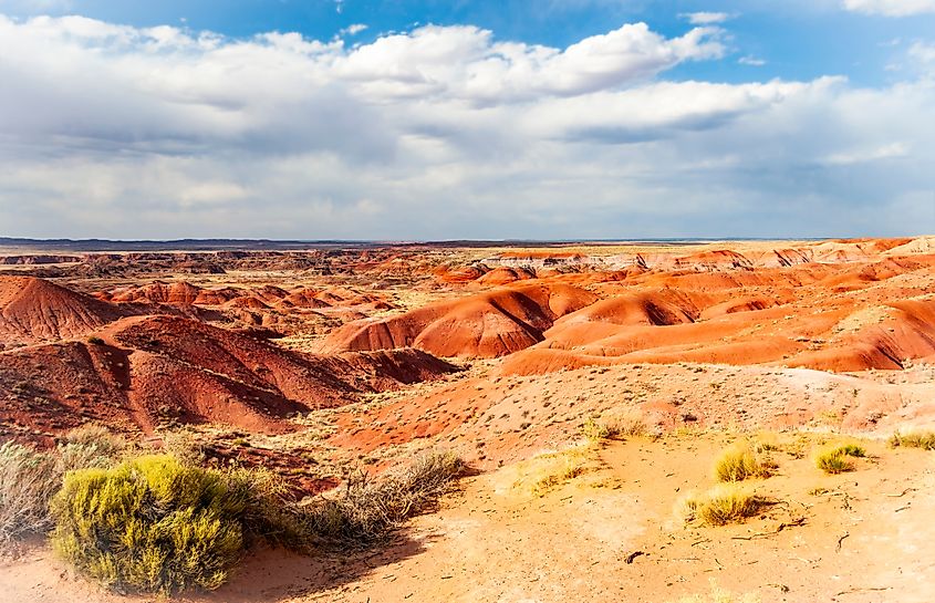 Petrified Forest National Park is a national park of the United States in Navajo and Apache counties in northeastern Arizona. 