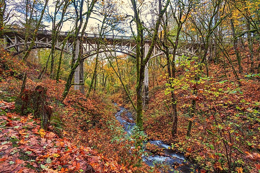 The historic Latourell Creek Bridge over the Latourell Creek in Guy W. Talbot State Park