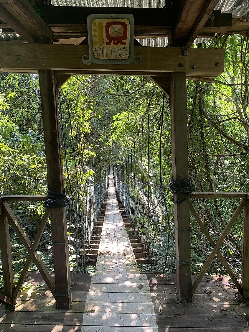 A rope bridge spanning a canyon in the jungle.