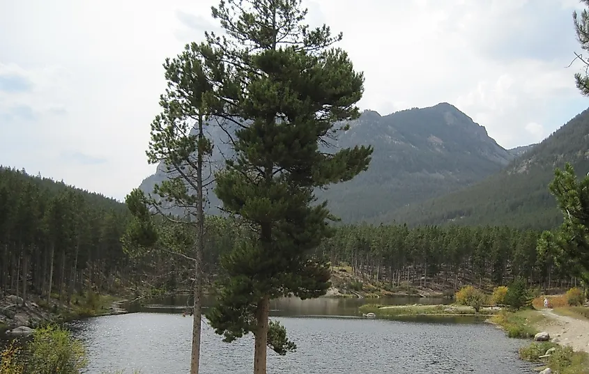 Greenough Lake, Montana. 