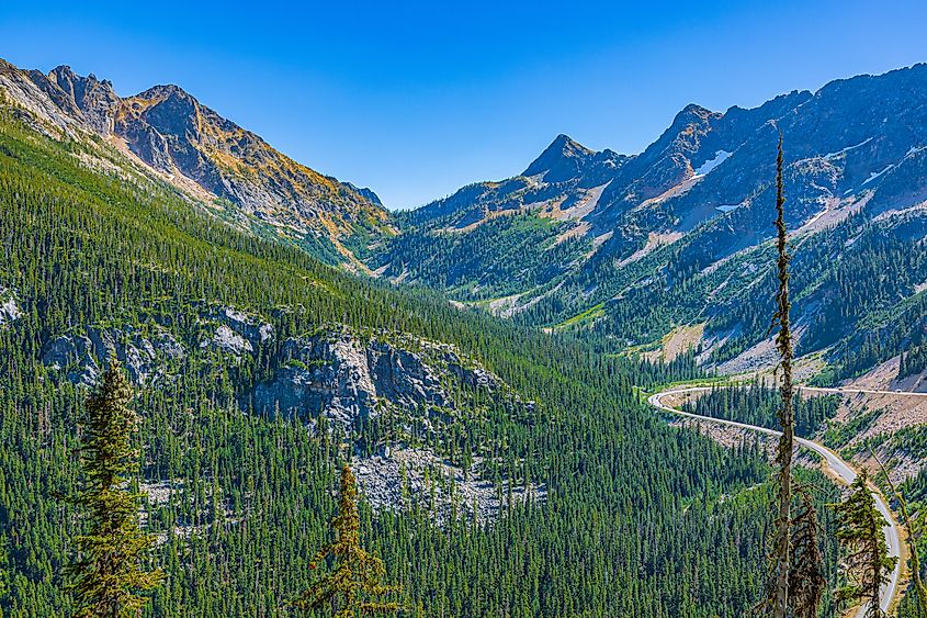 Scenic view of a winding highway cutting through a forested mountain valley at Washington Pass Overlook in North Cascades National Park, Washington.