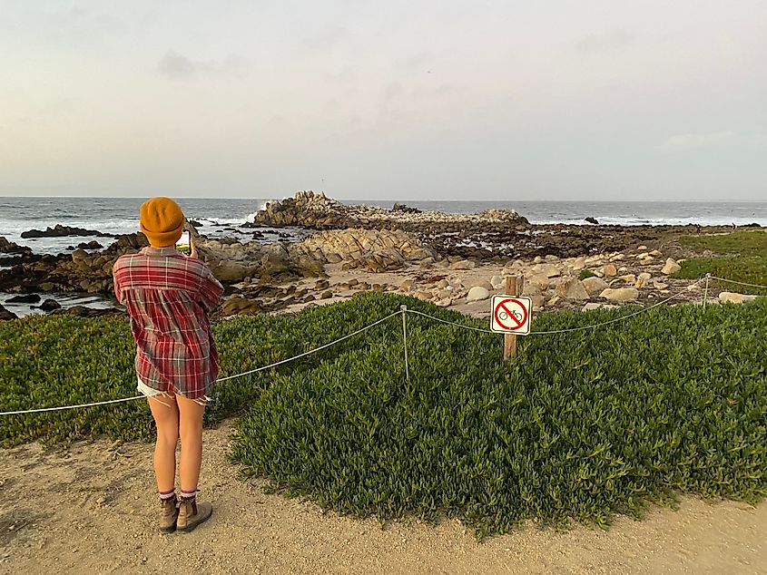 A woman in shorts, red flannel, and orange beanie takes a photo of a seaside viewpoint at dusk.