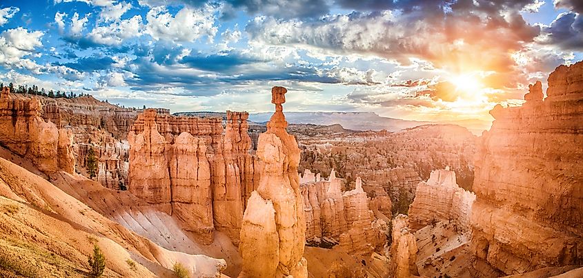 Hoodoos sandstone formations in scenic Bryce Canyon National Park in beautiful golden morning light at sunrise with dramatic sky and blue sky, Utah, USA