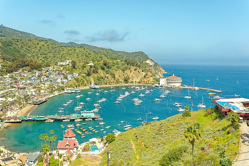 Aerial view of Avalon, California