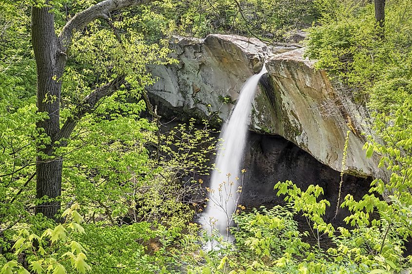 Williamsport Falls plunges from a channel carved in a massive sandstone ledge.