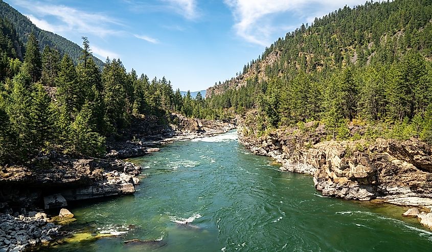 The Kootenai River in the Kootenai National Forest near Libby, Montana