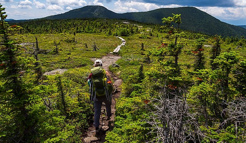 Hiker on Appalachian Trail in Maine, Lush Mountain Vista