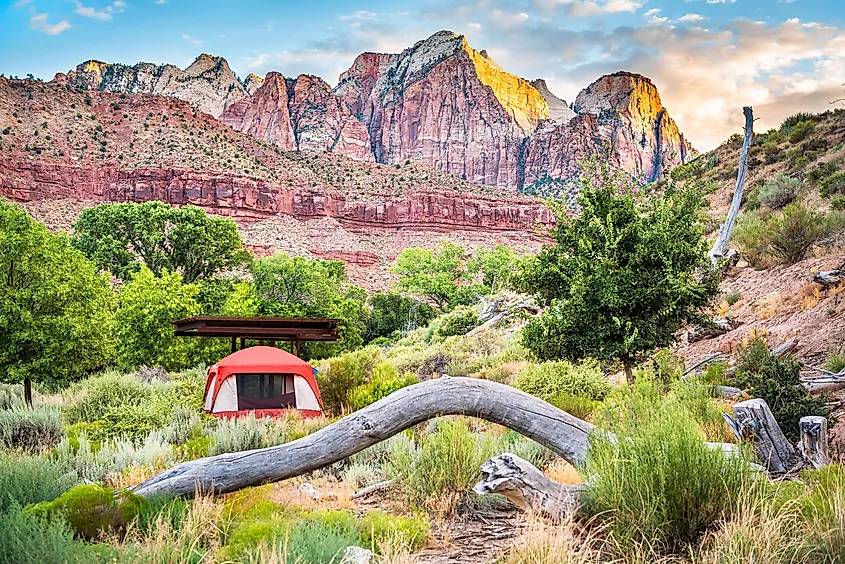 Camping in Zion National Park.