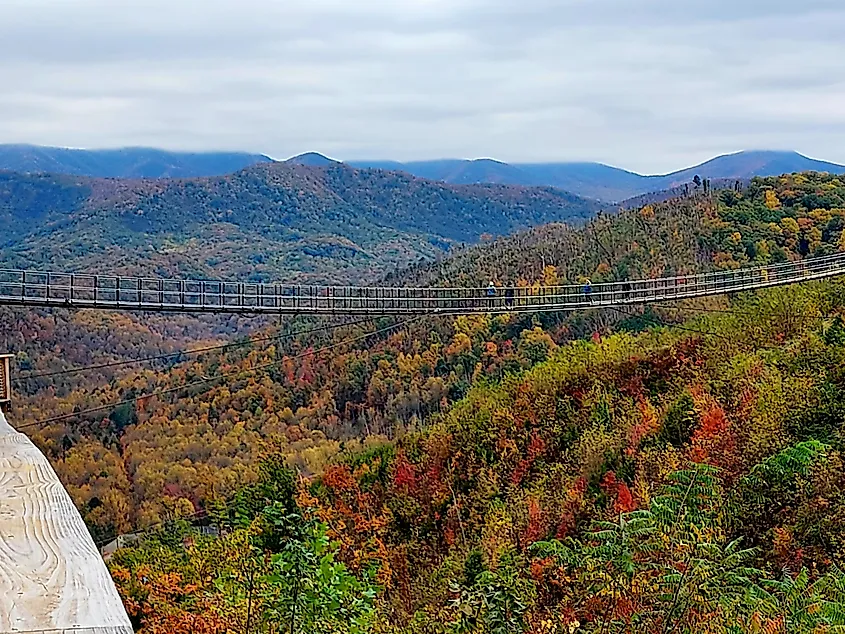 Fall foliage from Skybridge Park in Gatlinburg, Tennessee. Credit: SMetcalf/Shutterstock.com