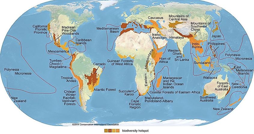 Biodiversity hotspot map