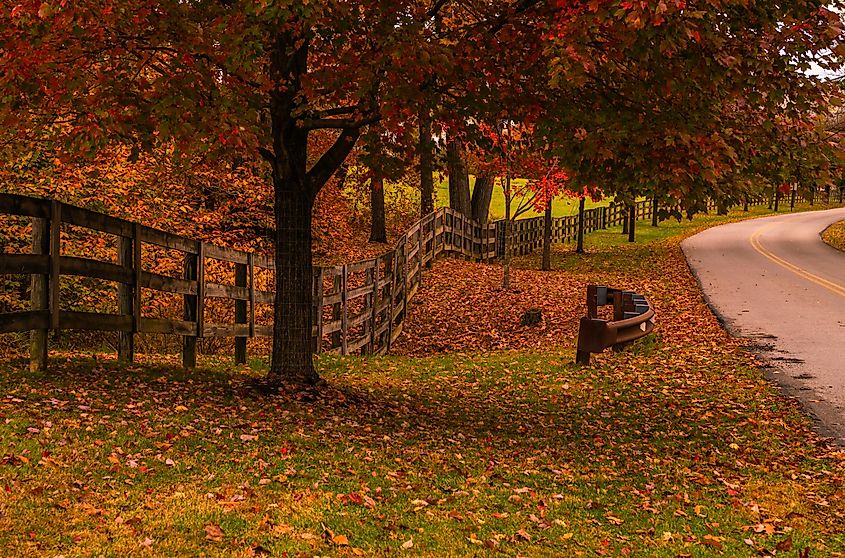 Colorful autumn morning in Chester Township, New Jersey featuring fallen dry leaves on the foreground