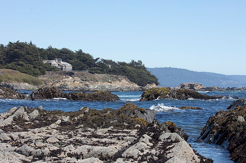 The coastline near Sea Ranch in California.