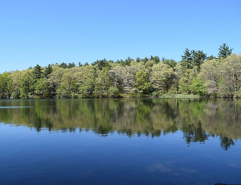 Houghton's Pond in Blue Hills Reservation. 