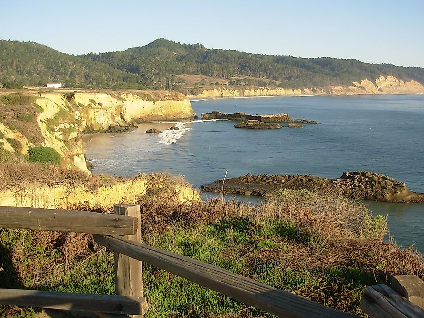 Año Nuevo State Park