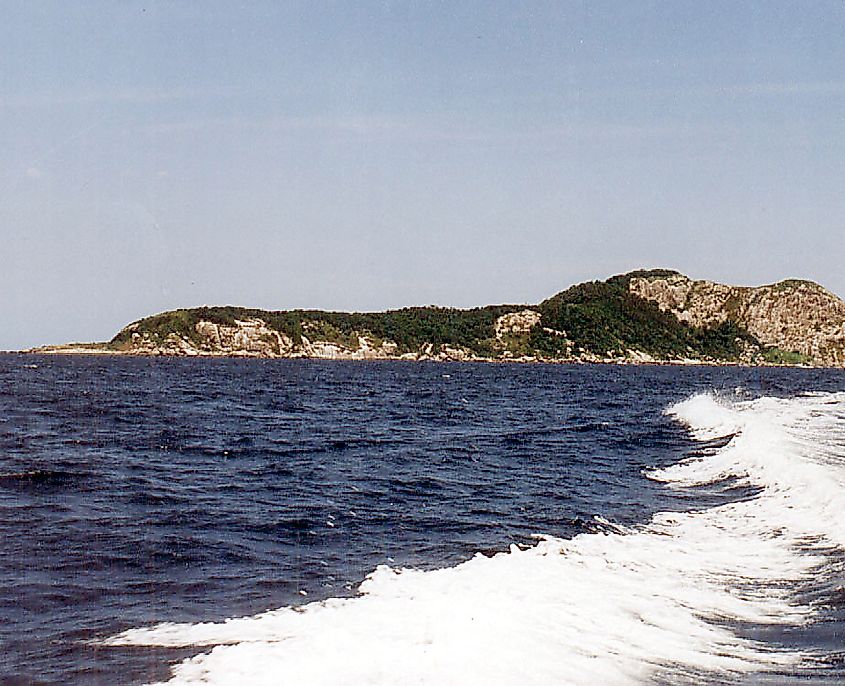 Ilha da Queimada Grande