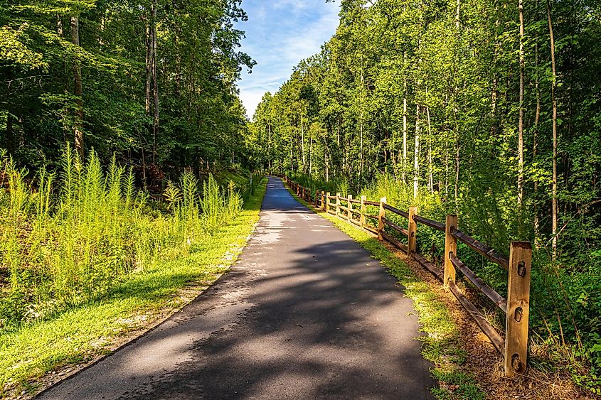 Clayton, North Carolina USA-08 22 2022: The Clayton River Walk in Summer. The Asphalt Trail Runs Next to a Wooden Fence.