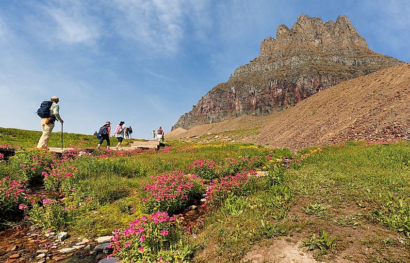 logan pass