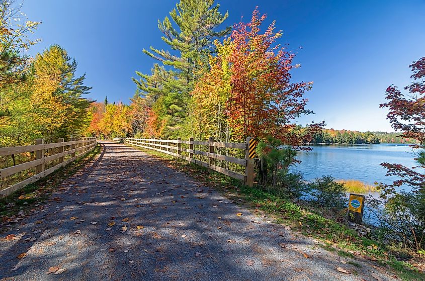 Brilliant fall foliage along the Adirondack Rail Trail