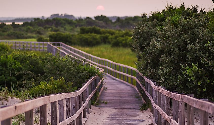 Passageway. Boardwalk. Back Bay National Wildlife Refuge. Virginia Beach. Virginia