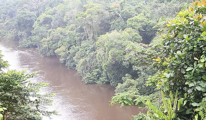 Der Fluss Dja bei Somalomo