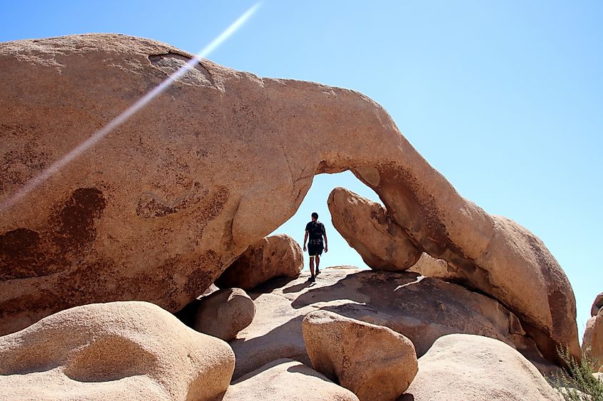 One person walking arch rock inside Joshua Tree national park. Man hiking under impressive stone and rock formation with blue skies in background. Adventurer in south California during hot summer. thomaslabriekl via Shutterstock