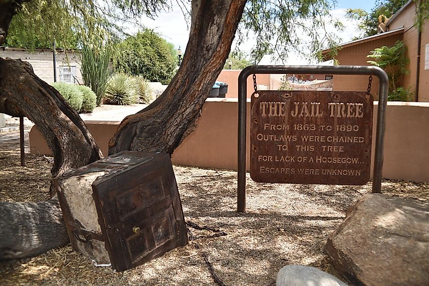 Jail tree. Wickenburg, Arizona, via Paul R. Jones / Shutterstock.com