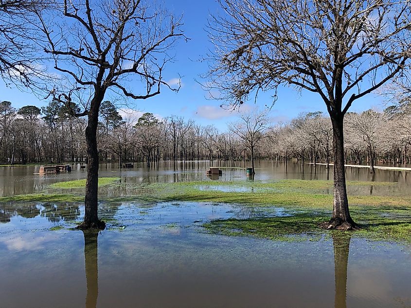 Затопленный и мирный парк Беар-Крик утром после сильного дождя