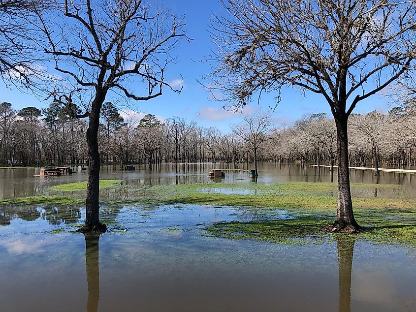 Flooded and peaceful Bear Creek park in the morning after big rain