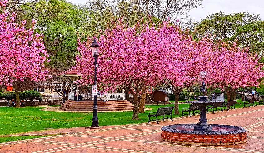 Bellefonte, Pennsylvania, USA, a park with trees in full bloom.