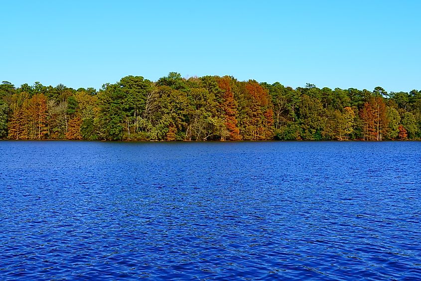 The beautiful blue waters of Trap Pond in Delaware