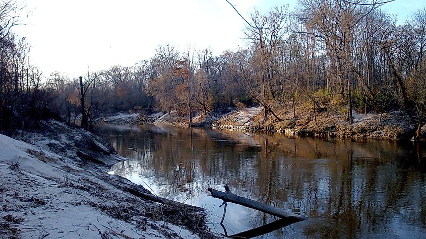 Pearl River upstream from Columbia.