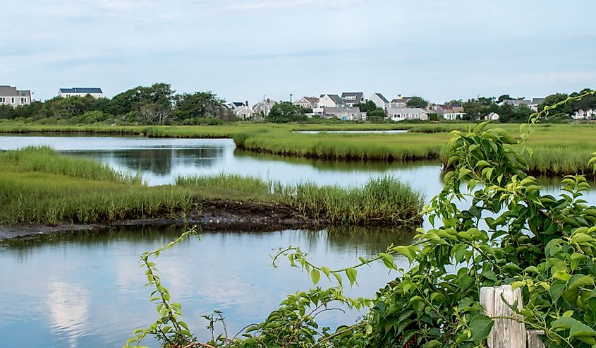 Water serenely flowing past the salt marshes on the Bass River in Yarmouth, Cape Cod.