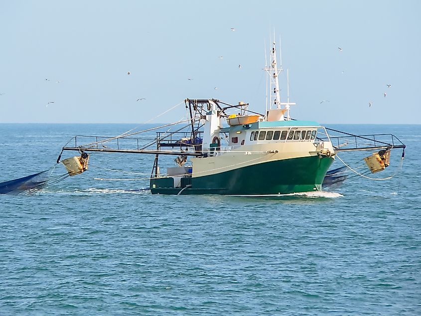 Gulf of Carpentaria