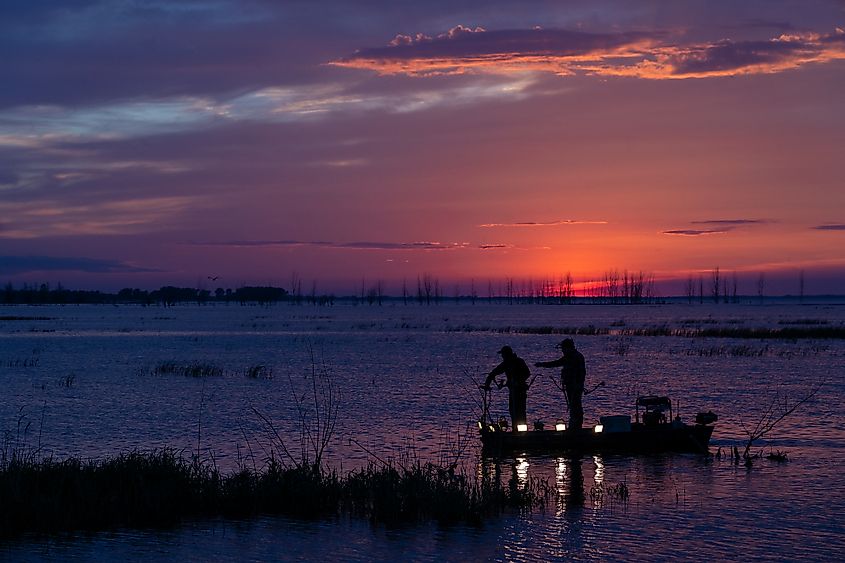 Bow fishing for carp on Lake Huron.