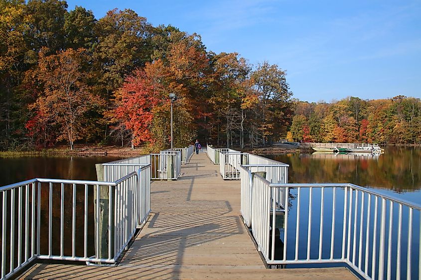Boardwalk to Fishing Pier Overlooking Trees with Leaves Changing Color in Burke Lake Park, Virginia