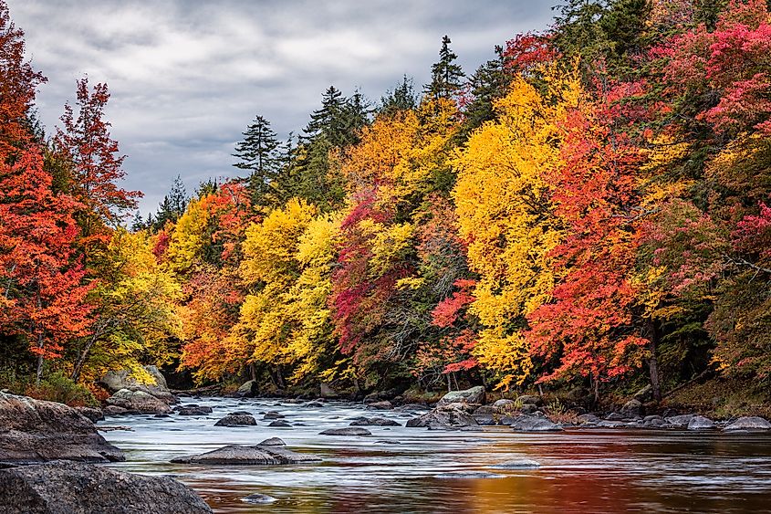 Spectacular fall foliage in the Adirondack Park.