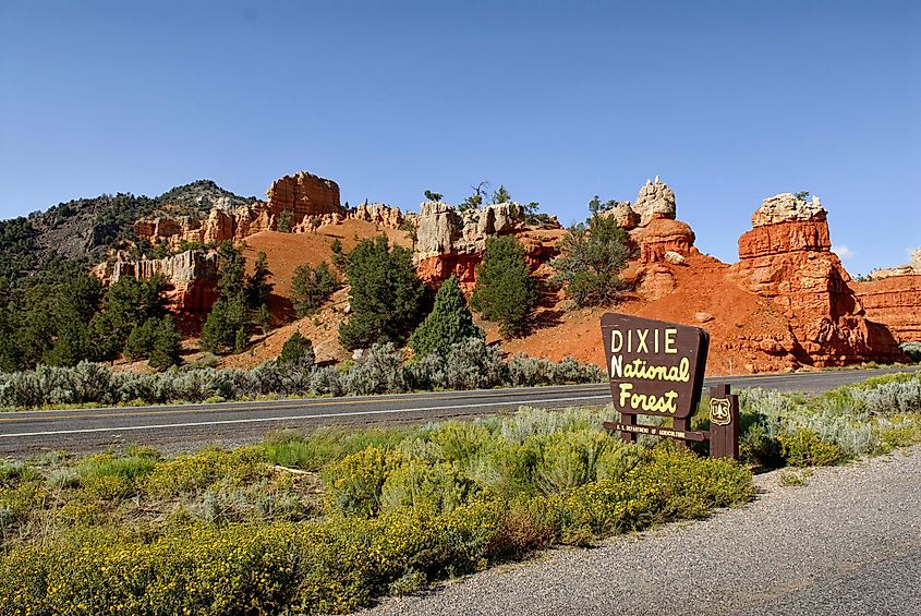 Dixie national forest