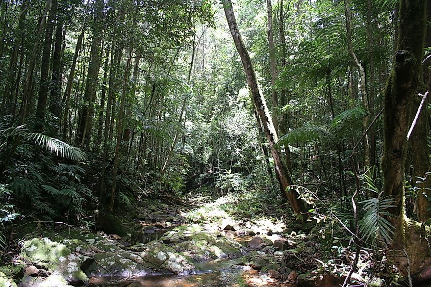 Paluma National Park in Queensland.