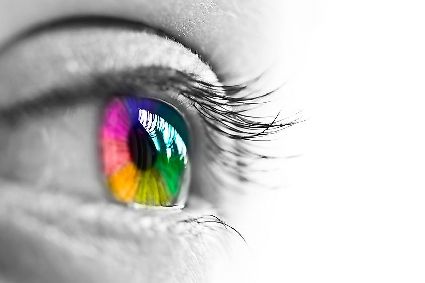 Spectrum Of Colors In An Eye 